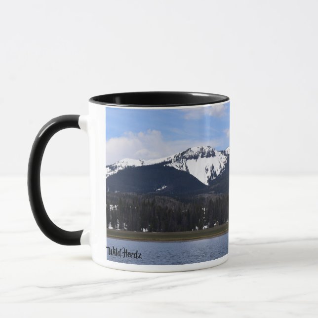 Steamboat See, Colorado Tasse (Links)
