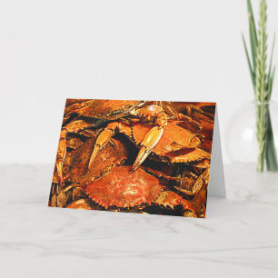 Steamed Maryland Hard Crabs Karte