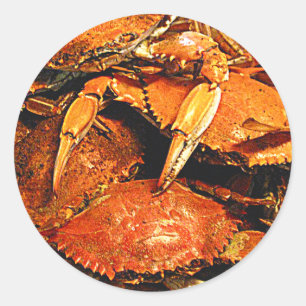 Steamed Maryland Hard Crabs Runder Aufkleber