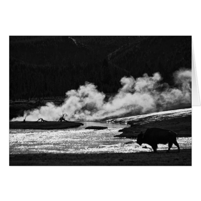 Steaming-Bison - Karte (Vorderseite (Horizontal))