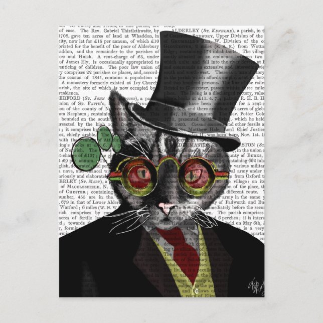 Steampunk Cat - Top Hut und rot-gelbe Brille Postkarte (Vorderseite)