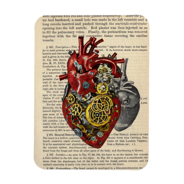 Steampunk Human Heart Anatomie Sci Fi Kunst Magnet (Vertikal)