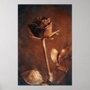 Steampunk-Rose Poster
