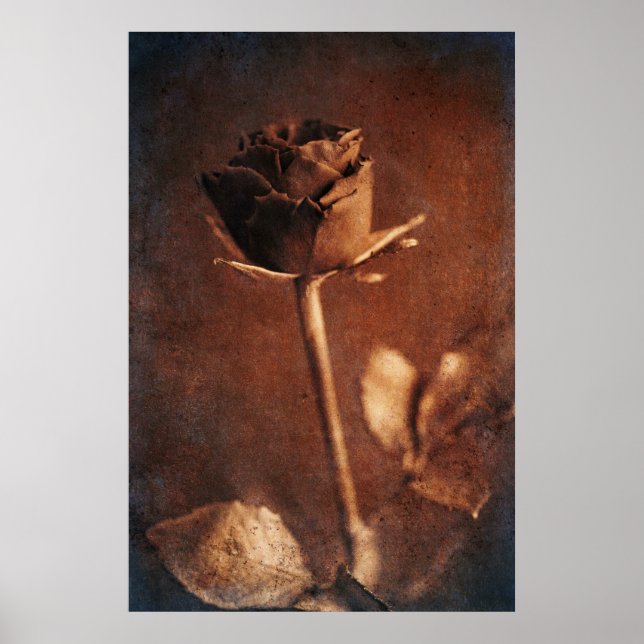Steampunk-Rose Poster (Vorne)