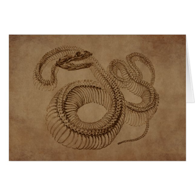 Steampunk Snake Skeleton (Vorderseite (Horizontal))