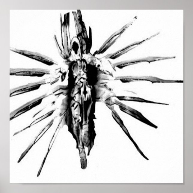 Steampunk Valkyrie Poster (Vorne)