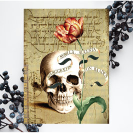 Steampunk Vintag Skull Floral Writing Holiday Feiertagspostkarte