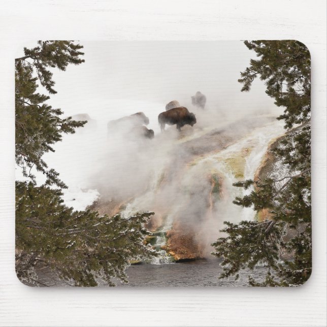 Steamy Bison Mousepad (Vorne)