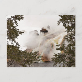 Steamy Bison Postcard Postkarte