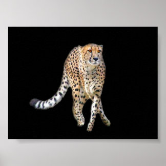 Stechend Tanzposter Poster