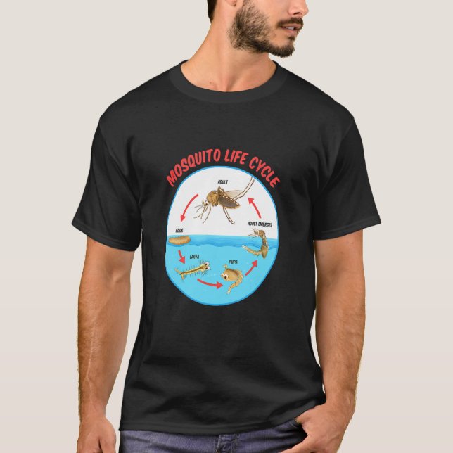 Stechmücken-Lebenszyklus T-Shirt (Vorderseite)