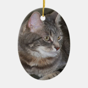 Stechpalme, die etwas Verzierung mustert Keramikornament