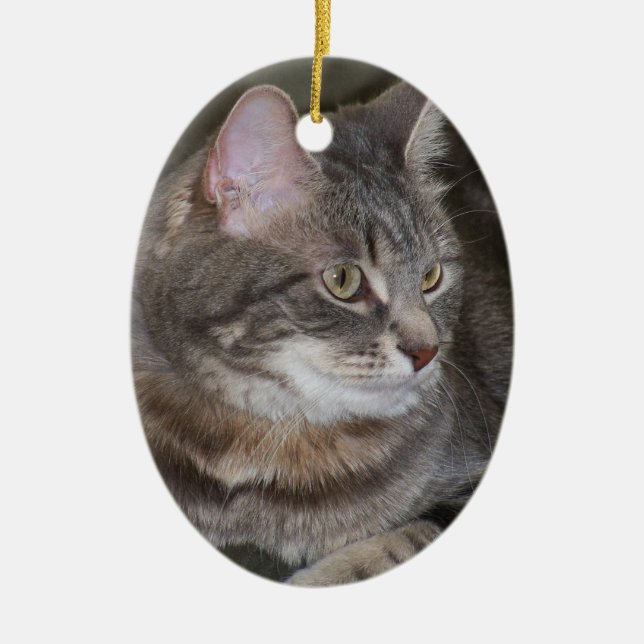 Stechpalme, die etwas Verzierung mustert Keramikornament (Vorne)