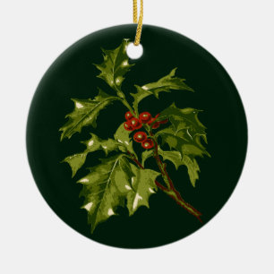 Stechpalme Mit Roten Steinfrüchten Botanisch-S Keramik Ornament
