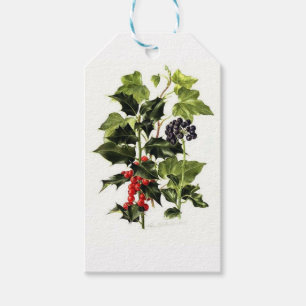 Stechpalmen- und Efeuentwurf Weihnachten Geschenkanhänger