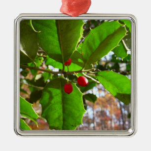 Stechpalmenblätter II Holiday Nature Botanisch Ornament Aus Metall