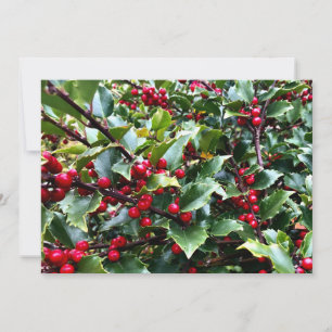 Stechpalmenblätter und -beeren feiertagskarte