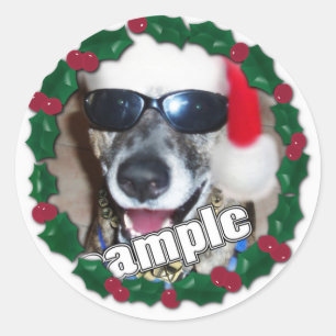 Stechpalmenrahmen für dein Weihnachtsfoto! Runder Aufkleber