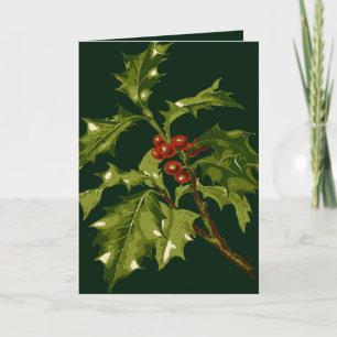 Stechpalmenzweig Weihnachten Rote Beere Grußkarte