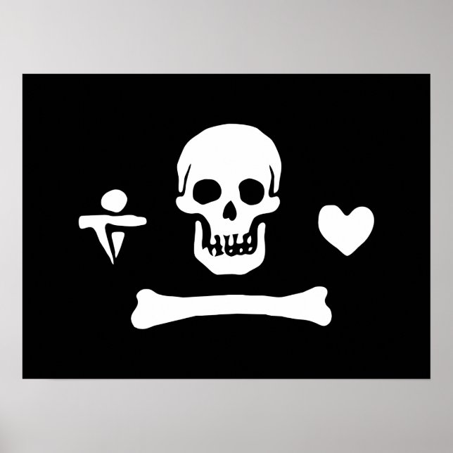 Stede Bonnet Pirate Flag Piratenflagge Poster (Vorne)