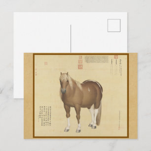 Steed Horse Named SnowFlakeEagle Chinese Fine Art Postkarte