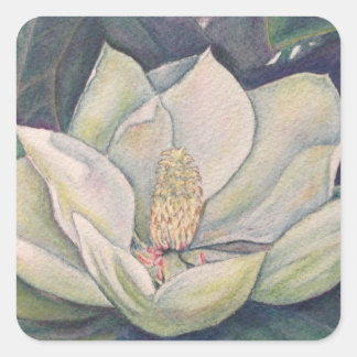 Steel Magnolia-Blume Quadratischer Aufkleber