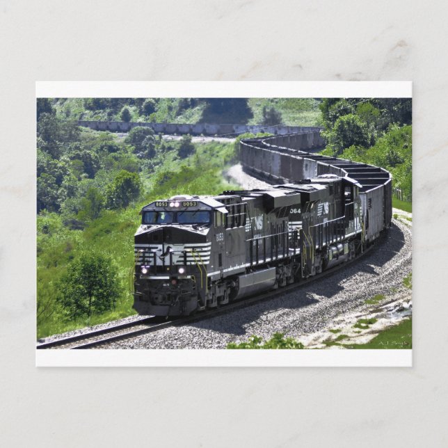 Steel Snake Postkarte (Vorderseite)