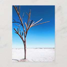 Steel Tree, Coober Pedy Australia Postkarte