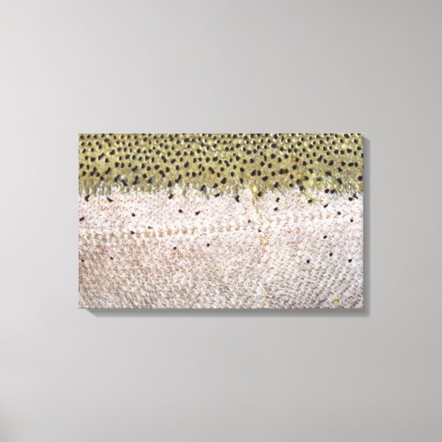 Steelhead auf Leinwand (Vorderseite)