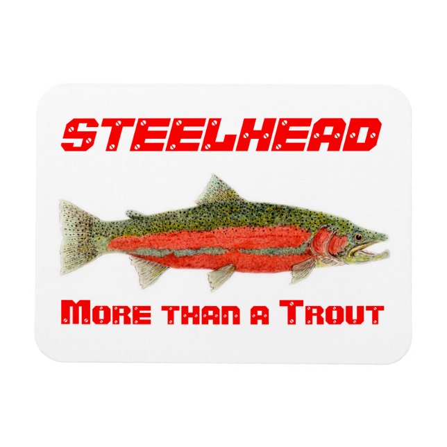 Steelhead - Mehr als ein Trout-Magnet Magnet (Horizontal)