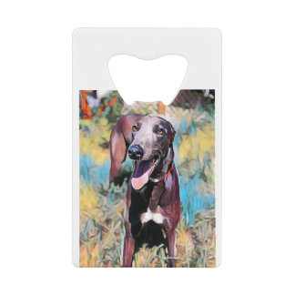 Steely Geldbeutel Flaschenöffner