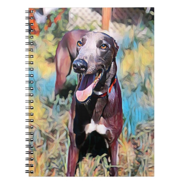 Steely Notizblock (Vorderseite)