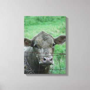 Steer sagt Hallo Leinwanddruck