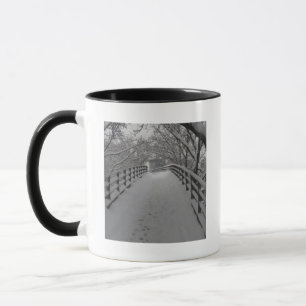 Steg Tasse