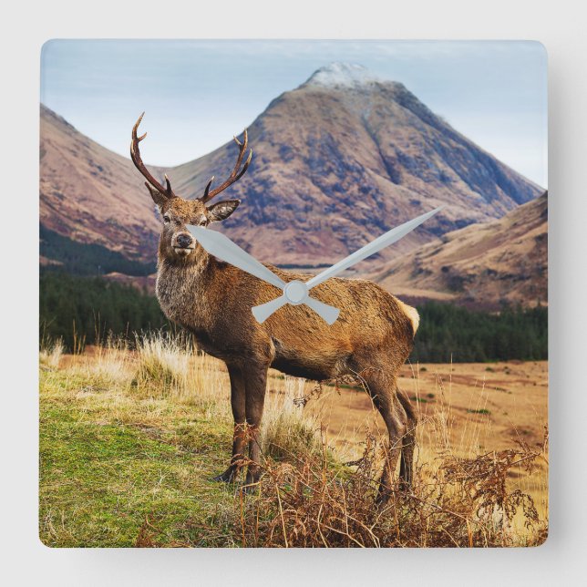 Steg Wall Uhr (Vorderseite)