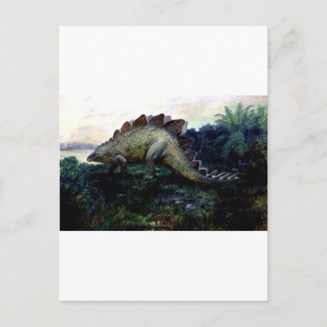 Stegosaurus-4 Postkarte (Vorderseite)