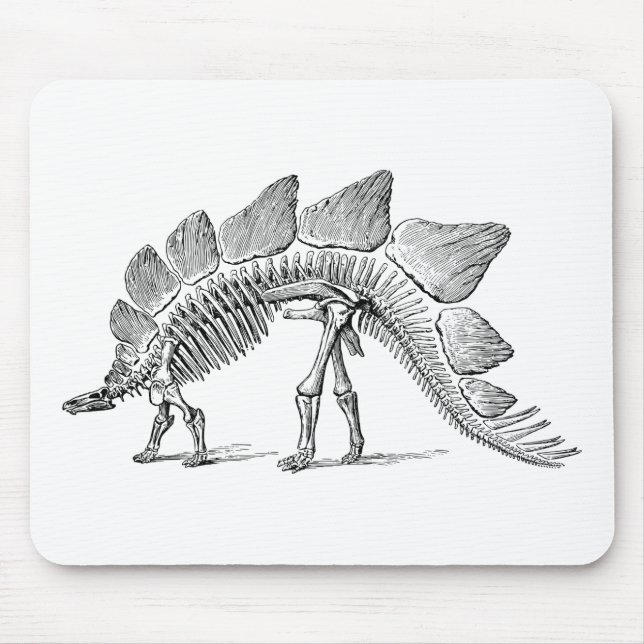 Stegosaurus Dinosaur Skeleton Fossil Mousepad (Vorne)