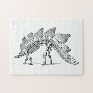 Stegosaurus Dinosaur Skeleton Fossil Puzzle