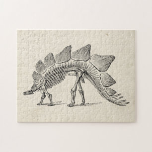Stegosaurus Dinosaur Skeleton Fossil Puzzle