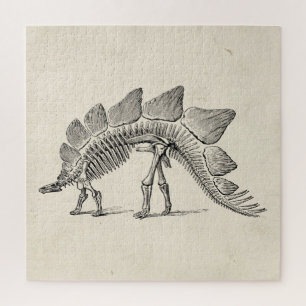 Stegosaurus Dinosaur Skeleton Fossil Puzzle