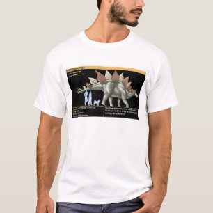 Stegosaurus - Jurassic Biologie Dinosaurier T-Shirt