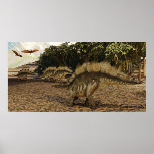 Stegosaurus Print Poster