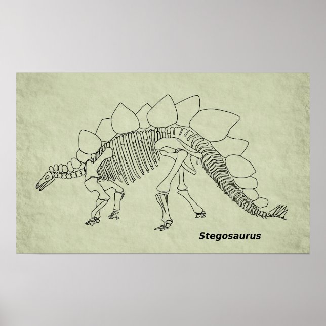 Stegosaurus Skeleton Poster (Vorne)