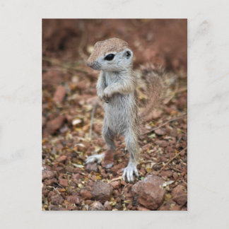 Stehen Sie auf und lassen Sie sich individuell dar Postkarte