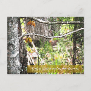 Stehen Sie da! Postkarte