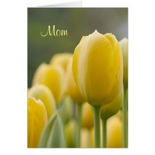 Stehen Sie oben Tulpe