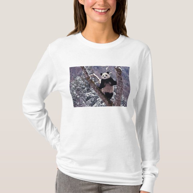 Stehend auf Baum, Wolong, Sichuan, T-Shirt (Vorderseite)