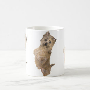 Stehend Cairn Terrier Kaffeetasse