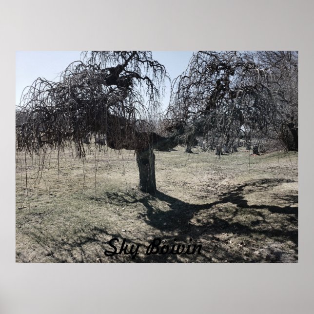 Stehend im Wind Poster (Vorne)