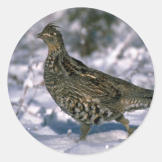 Stehend in schneebedeckten Wäldern Runder Aufkleber